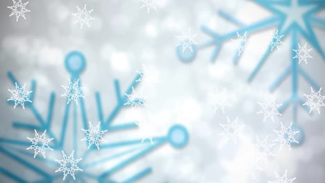 Animation-of-snowflakes-falling-on-white-background