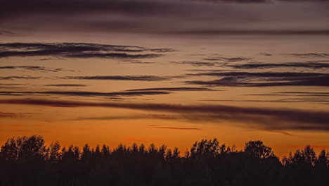 herbage silhouette against cinematic sunset. time-lapse