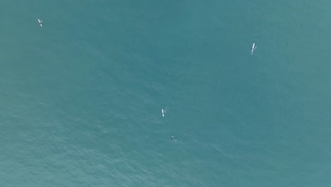 High-altitude-top-down-drone-shot-of-unrecognizeable-traditional-fishermen-in-traditional-boats-in-turquoise-tropical-water-in-Bali-Indonesia