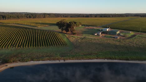 aerial panorama view of farm house with private vineyard field at sunset time in australian countryside