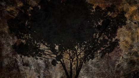 silhouette of tree against flickering textured background