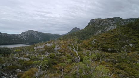 forward drone shot of cradle mountain in tasmania, australia