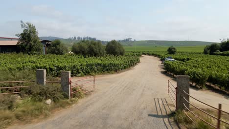 Aerial-view-dolly-in-at-the-Undurraga-Vineyard-in-the-Leyda-Valley,-Chile