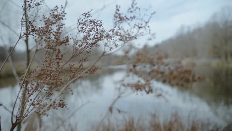 Ein-Zugefrorener-See-Mit-Einer-Brücke-Und-Einem-Einsamen-Pier-In-Winterlicher-Atmosphäre-Mit-Gras-Im-Vordergrund