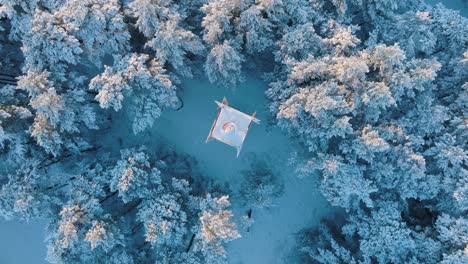 aerial birdseye footage of trees covered with snow, sunny winter day before the sunset, golden hour, nordic woodland pine tree forest, baltic sea coast, wide top down drone shot moving forward