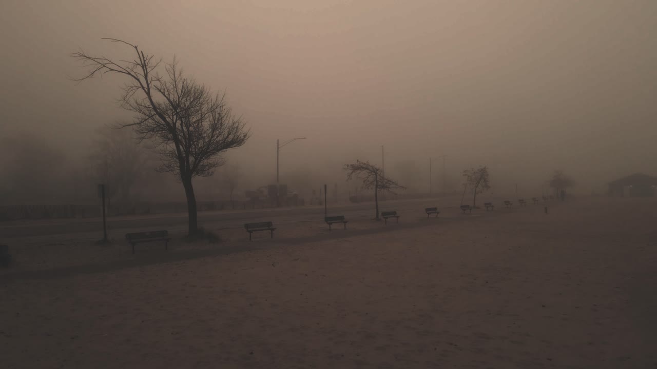 una niebla cálida que cubre una fría mañana de playa en octubre