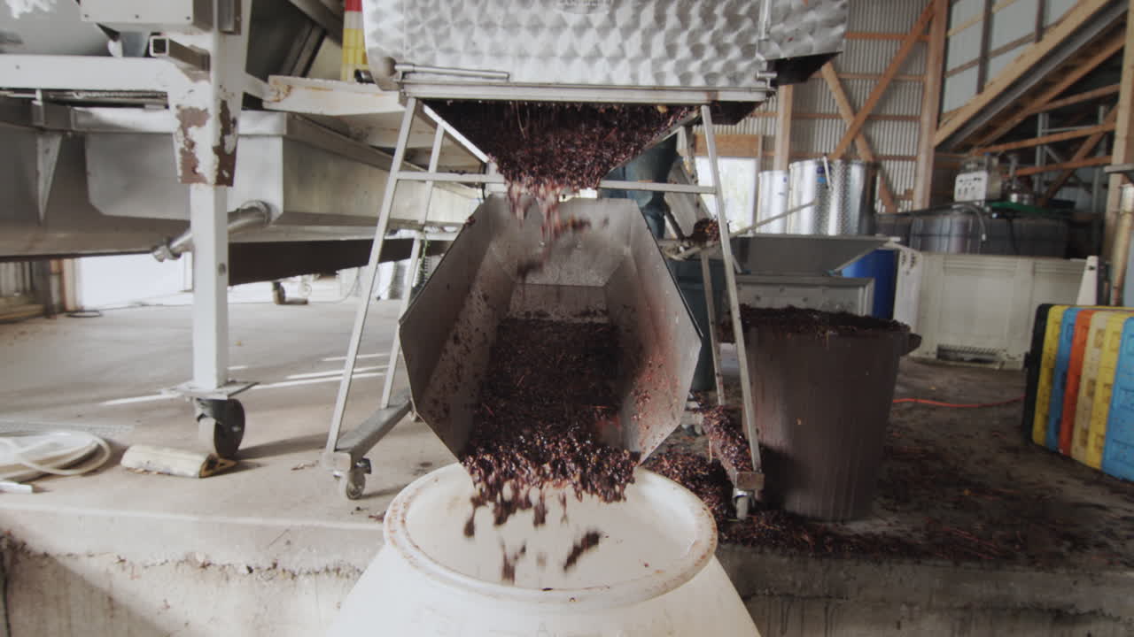 와인 제조를 위한 원재료는 큰 배럴로 굴레를 통해 공급됩니다. 작은 가족 와이너리에서 일합니다. 4k 비디오