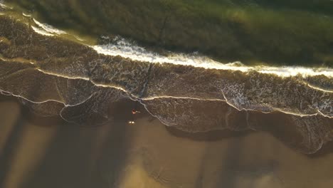 Aerial-top-down-of-person-with-dog-running-on-sandy-beach-at-sunset-beside-Ocean