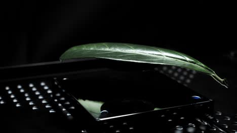 4k abstract levitation platform with leaf on black background