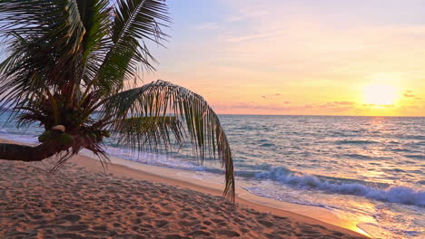 la luz rosa y amarilla de una puesta de sol tropical rebota en una playa de arena desierta