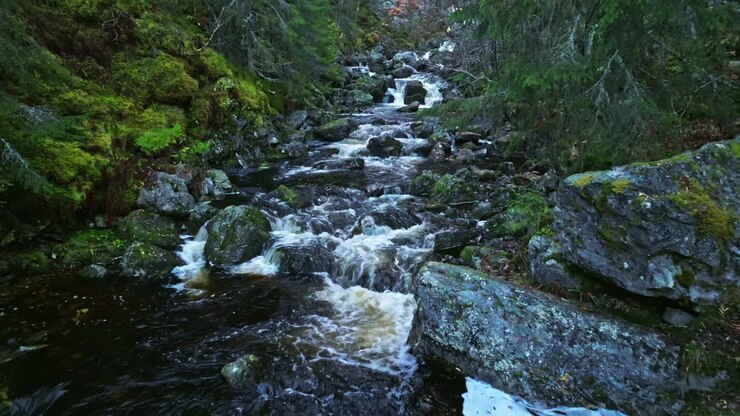 Flyover River Rushing Over Mossy Rocks In Wild Autumn Forest Of Sweden