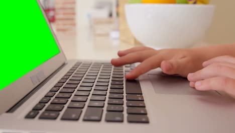 Close-up-of-boy-using-laptop