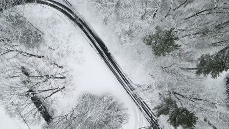 road track of snow storm mayhem