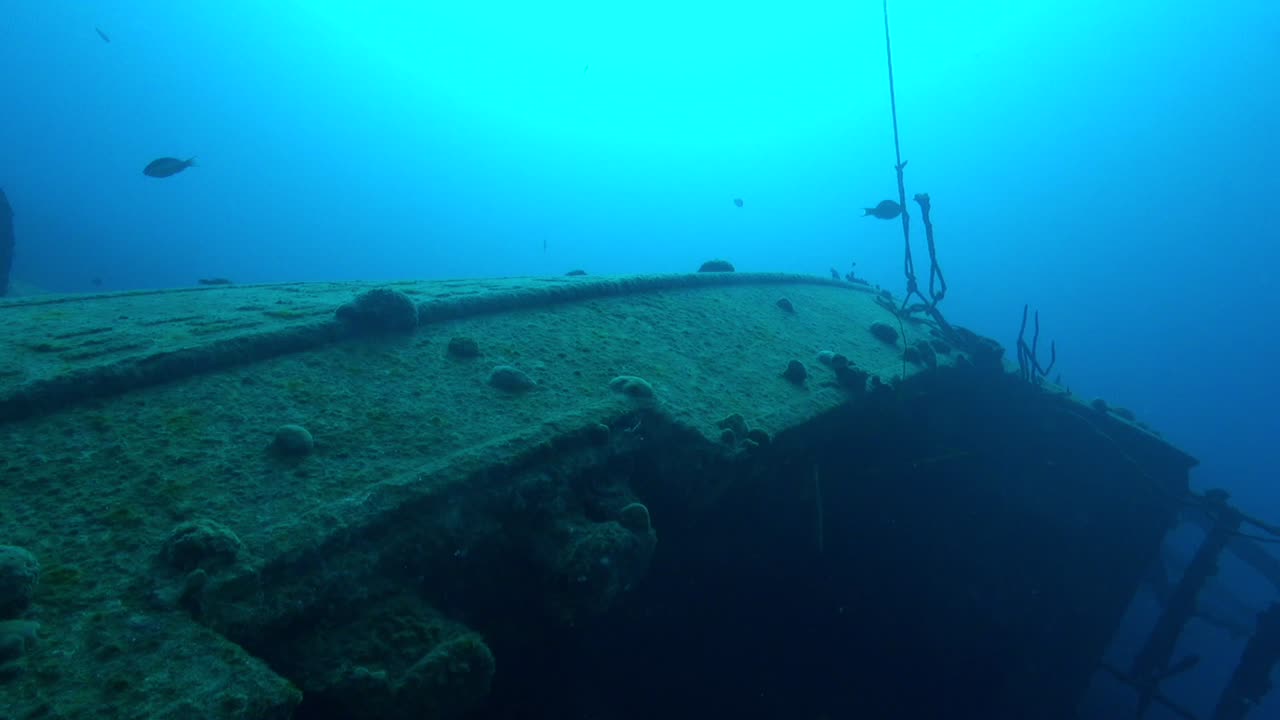 hilma hooker babor popa