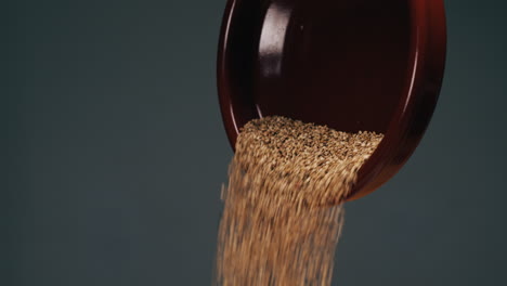 white dried sesame seeds close-up macro. super food. sprinkles for food.healthy concept. high quality 4k footage