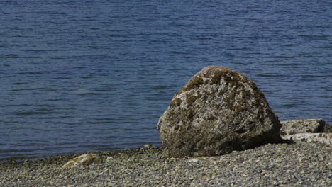 Camano-Island-State-Park,-Wa-State-Beach-Mit-Felsen-Und-Felsbrocken