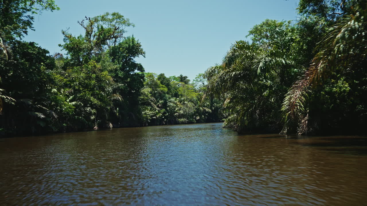Navigating through the canals of Tortuguero National Park in Costa Rica. Panoramic view of the green lush vegetation and the rainforest. Natural reserve for wildlife and biodiversity.