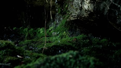 Wassertropfen-Fallen-Einen-Wasserfall-Hinunter-Und-Landen-Auf-Dem-Grund-Einer-Grünen,-Moosigen-Höhle