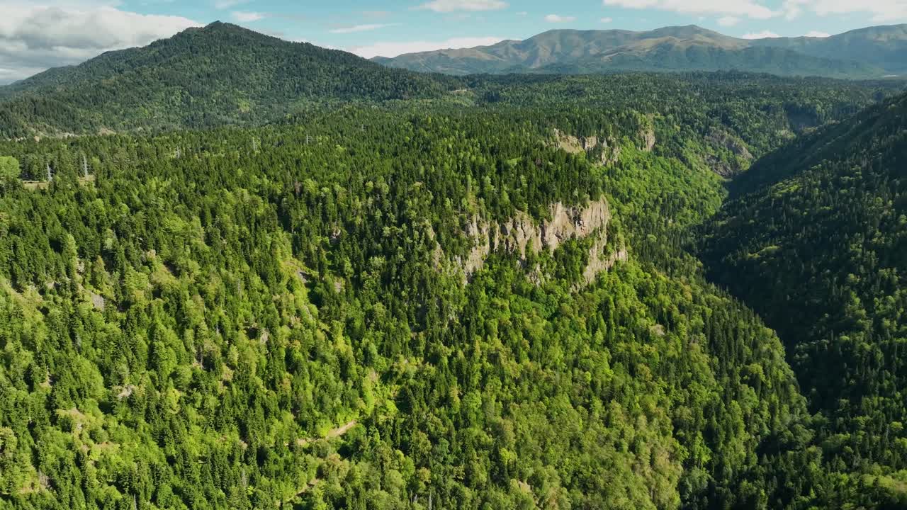 Aerial drone view of vast green mountain ranges covered with dense forest and stretching toward the distant horizon under a clear blue sky