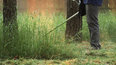 man cutting grass with trimmer. crop view of male in dark clothes holding handle of string trimmer cutting long grown grass at trees in park or garden.