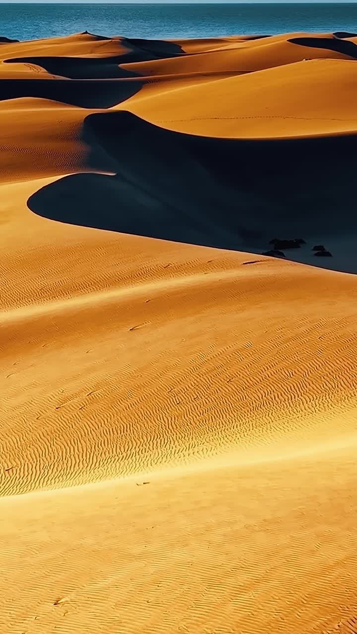 Vista di dune di sabbia e palme a Gran Canaria, Spagna