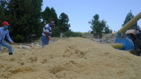 agricultor con pulverizador de heno