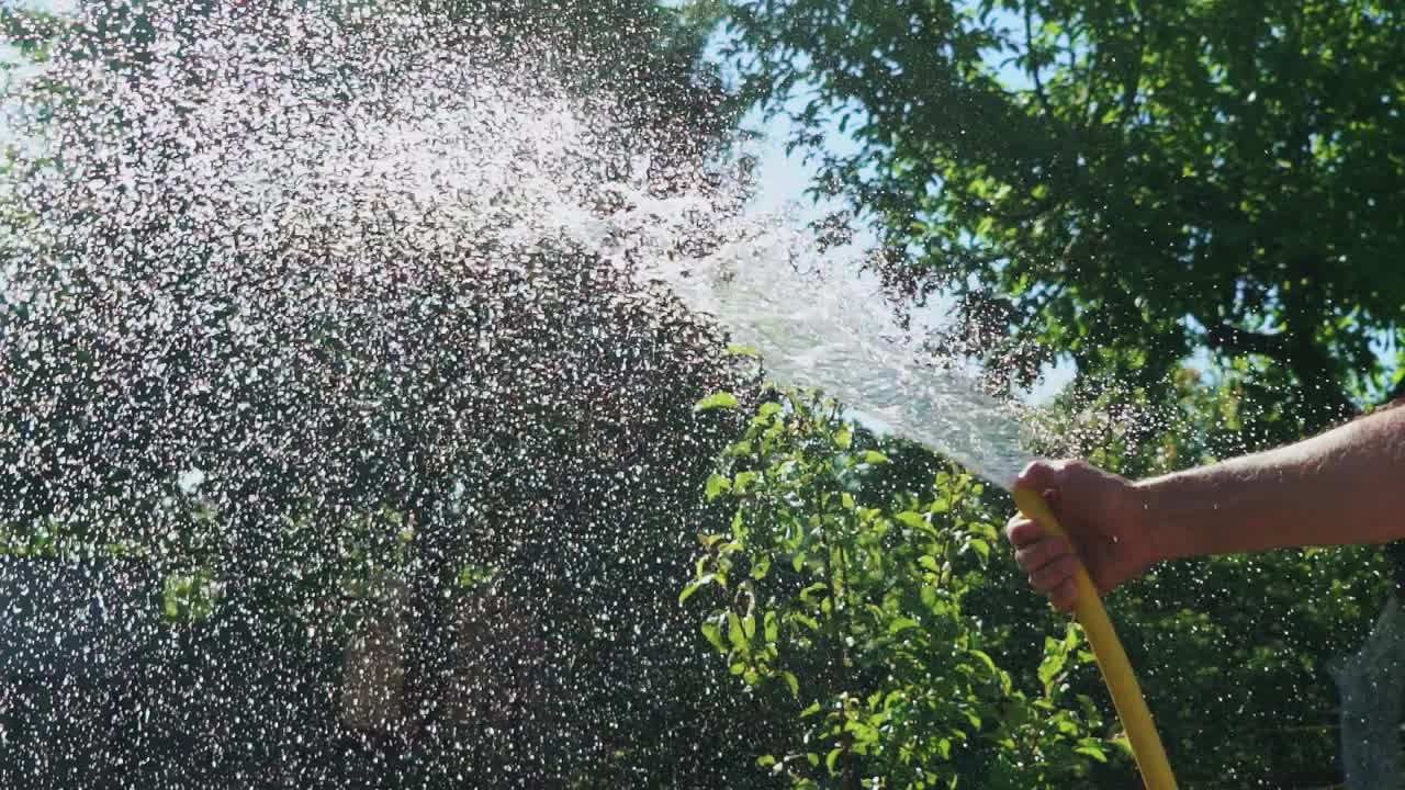 Farmer watering plant in green garden. Water hose sprinkler on background of green garden