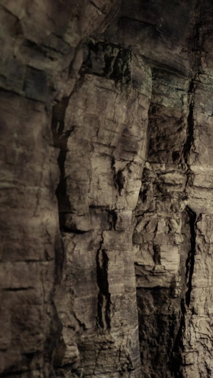 Le rocce formano una superficie ruvida in una grotta, mostrando texture e forme scure.