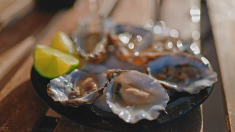 fresh oysters on a wooden table