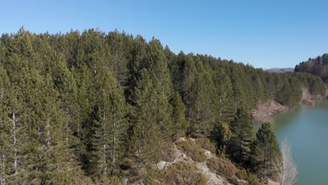 Aerial-ascending-over-conifer-trees-revealing-Aoos-spring-lake-Epirus-Greece