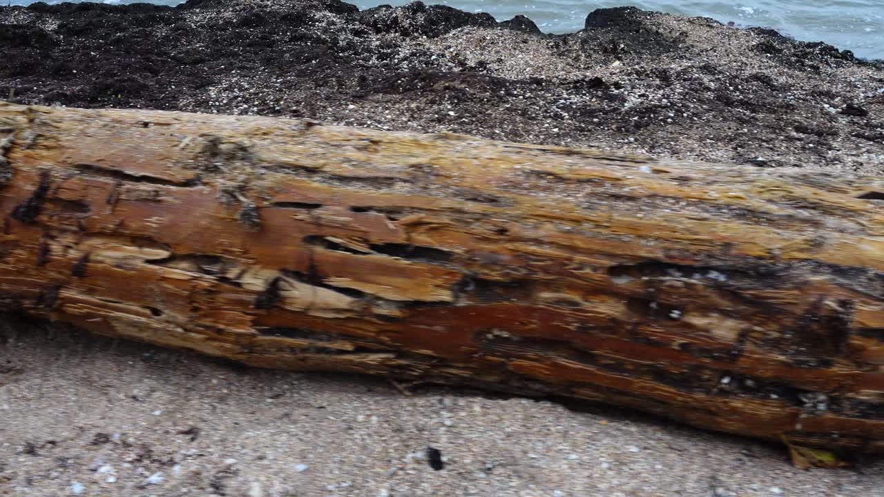 Una tempesta ha scaraventato un antico albero di nave sulla spiaggia sabbiosa. Albero di nave da un'antica nave affondata