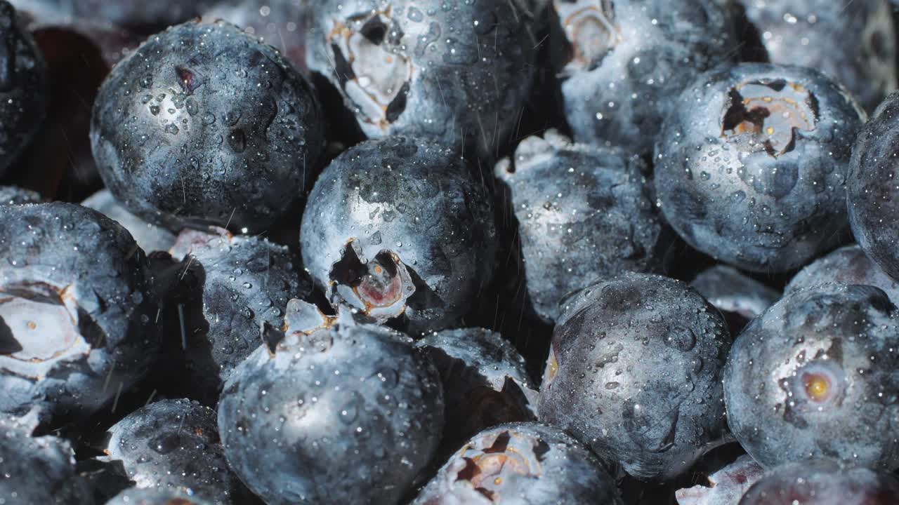 Blueberry berry background, Macro Water drops on ripe blueberries.