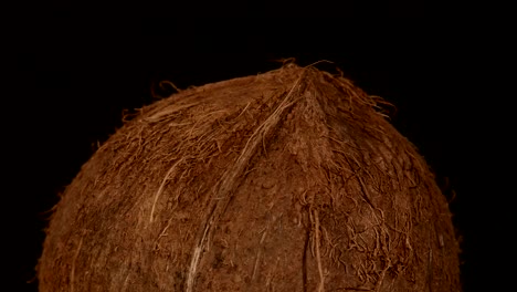 primer plano de un coco