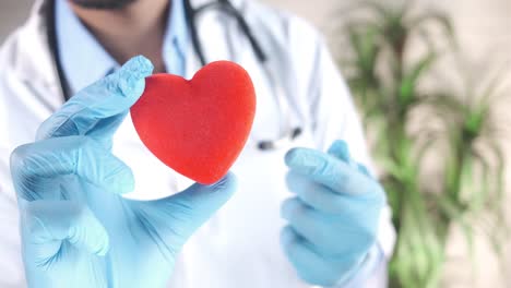 doctor holding a heart