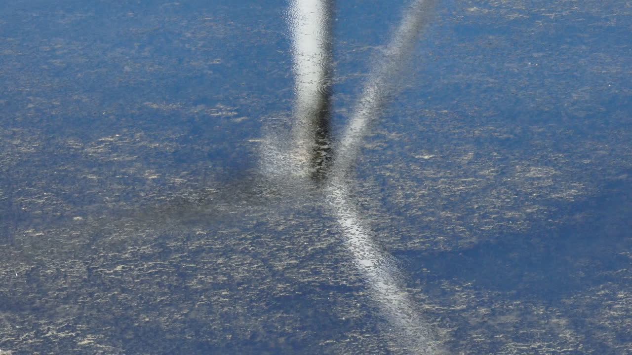 풍력 터빈은 프로펠러가 회전하는 동안 해조류가 있는 작은 연못에 반사됩니다.