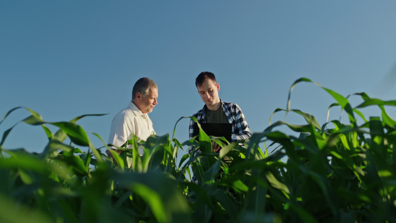 Farmers Consulting on Corn Crop
