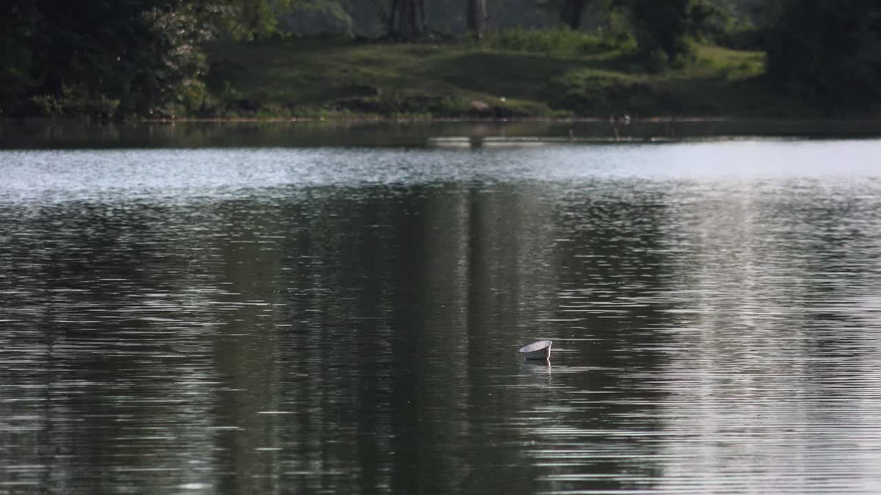 앙코르와트 근처에 떠다니는 테이크아웃 쓰레기