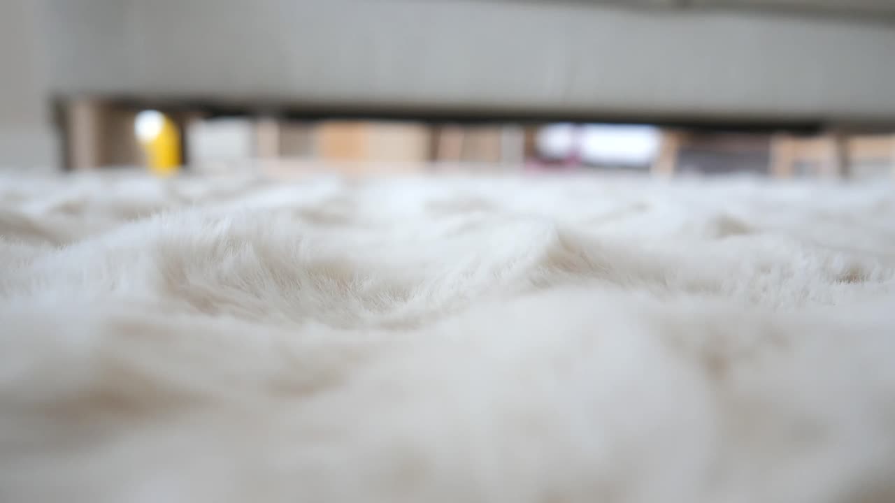 Close-up of a Fluffy White Rug