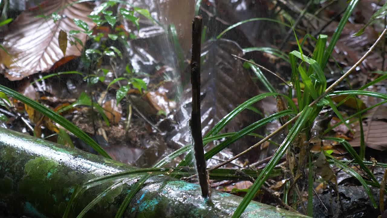 fuga de agua del agujero en la tubería de agua que se ha tapado con un palo
