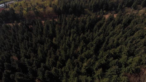 Disparo-De-Dron-Que-Viaja-Hacia-Atrás-Desde-Un-Bosque-Que-Revela-El-Embalse-De-Lady-Bower-En-La-Lejana-Versión-Más-Rápida-Filmada-En-4k-En-Mavic-Air