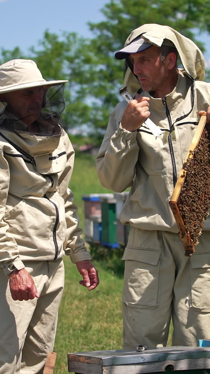 Beekeepers Inspecting Honeycomb