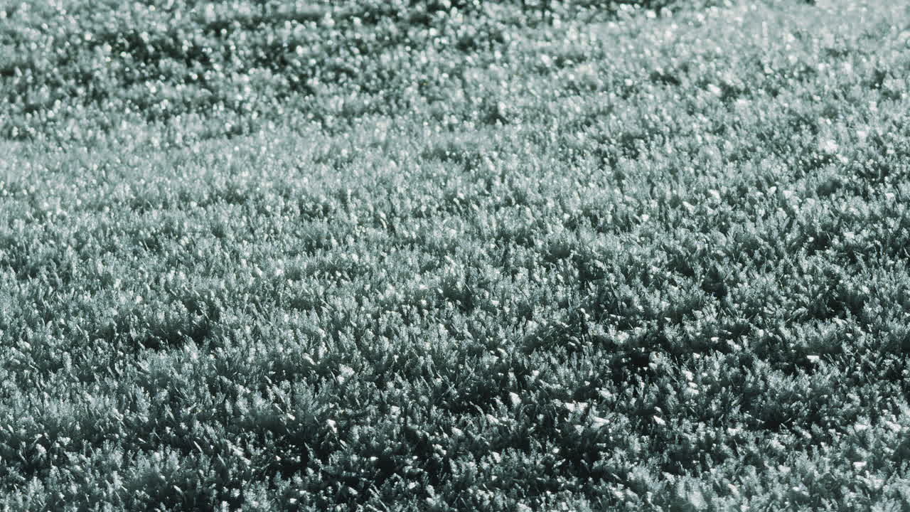 Frozen Ground Covered with Ice Crystals