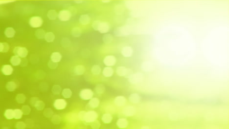 animación de focos parpadeantes sobre un fondo verde