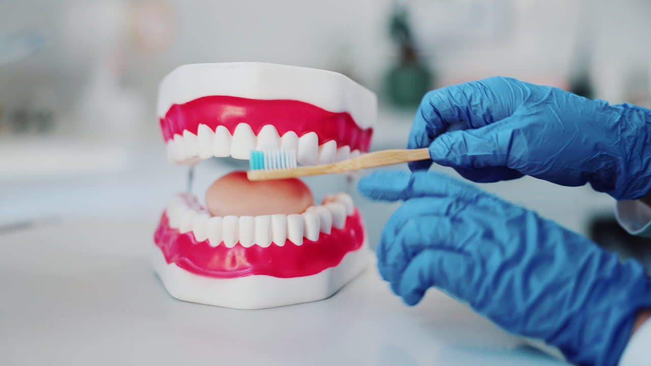 Proper Teeth Brushing Demonstration