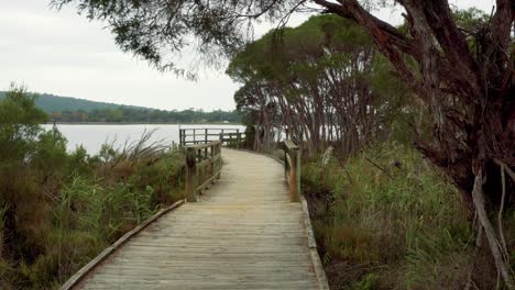 Waterfront-Wooden-Boardwalk-Towards-Lake-Shore-Surrounded-By-Grasses,-Australia