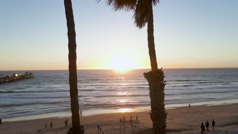 Flying-through-two-palm-trees-at-sunset,-San-Clemente-Pier-Beach,-California,-aerial-wide-slow-motion-shot