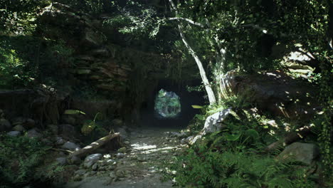 tunnel through forest of trees