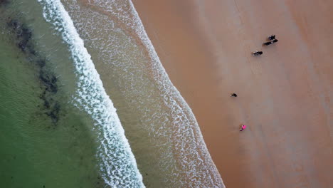 Overhead-drone-pov-of-people-walking-on-pink-sandy-beach-at-Saint-Malo,-Brittany-in-France