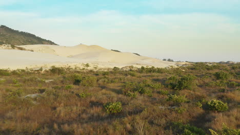 aerial action view approaching sand dunes at praia da joaquina, florianopolis city, santa catarina, brazil