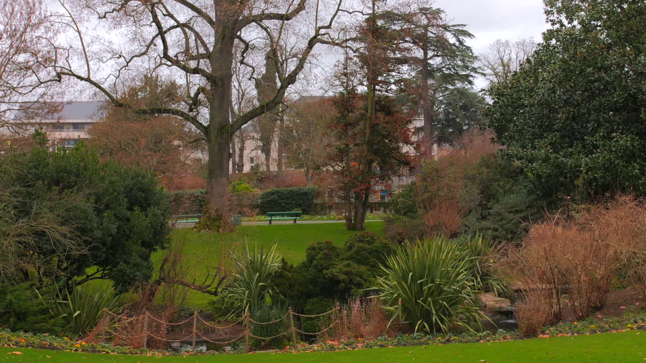 High angle shot over lush green vegetation in Jardin des plantes d'Angers Park, Angers, France on a cloudy day